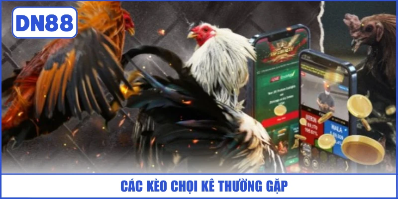 Đá Gà C1 - Đỉnh Cao Chọi Kê DN88 Kịch Tính Và Mãn Nhãn 4 cac-keo-choi-ke-thuong-gap
