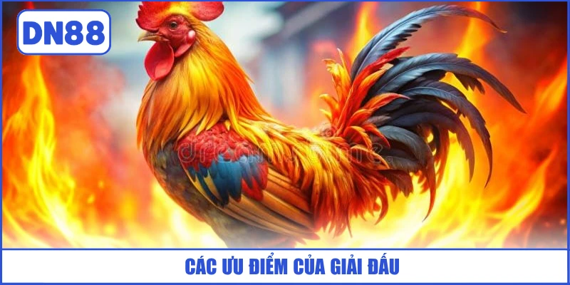 Đá Gà C1 - Đỉnh Cao Chọi Kê DN88 Kịch Tính Và Mãn Nhãn 3 cac-uu-diem-cua-giai-dau