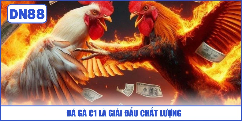 Đá Gà C1 - Đỉnh Cao Chọi Kê DN88 Kịch Tính Và Mãn Nhãn 2 da-ga-c1-la-giai-dau-chat-luong