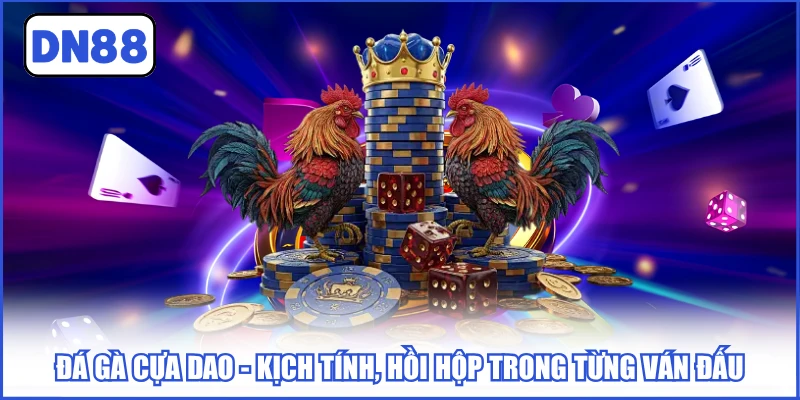 Đá Gà Cựa Dao - Kịch Tính, Hồi Hộp Trong Từng Ván Đấu 2 da-ga-cua-dao