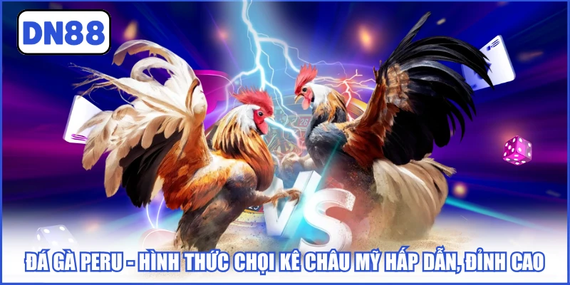 Đá Gà Peru - Hình Thức Chọi Kê Châu Mỹ Hấp Dẫn, Đỉnh Cao 3 da-ga-peru