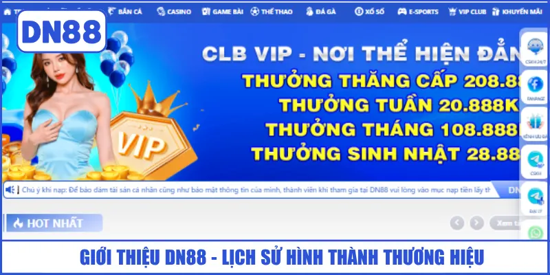 GIỚI THIỆU DN88 1 gioi-thieu-dn88-lich-su-hinh-thanh-thuong-hieu